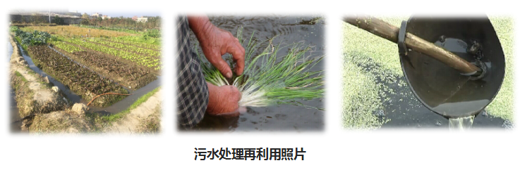 甘肃农村社区污水处理设备